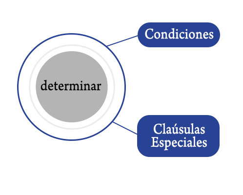 Determinar — elegir la póliza y condiciones óptimas